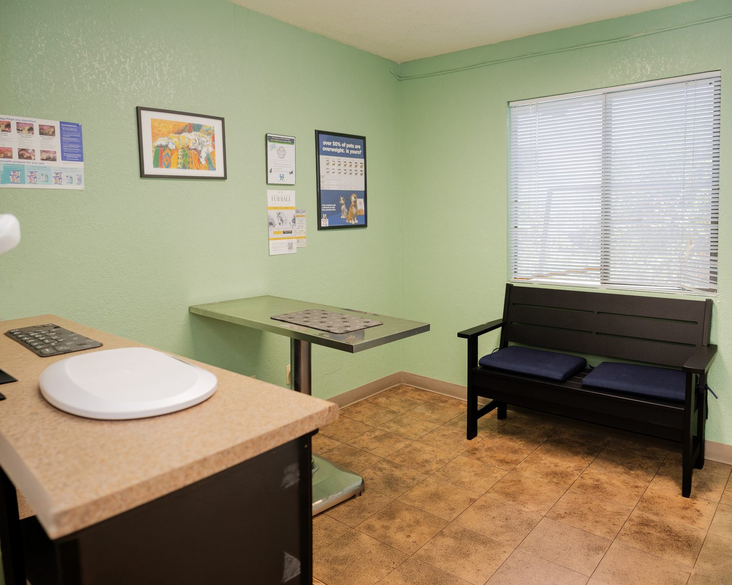 A calm, welcoming exam room at Oracle 77 Pet Clinic in Tucson, with a soothing water feature